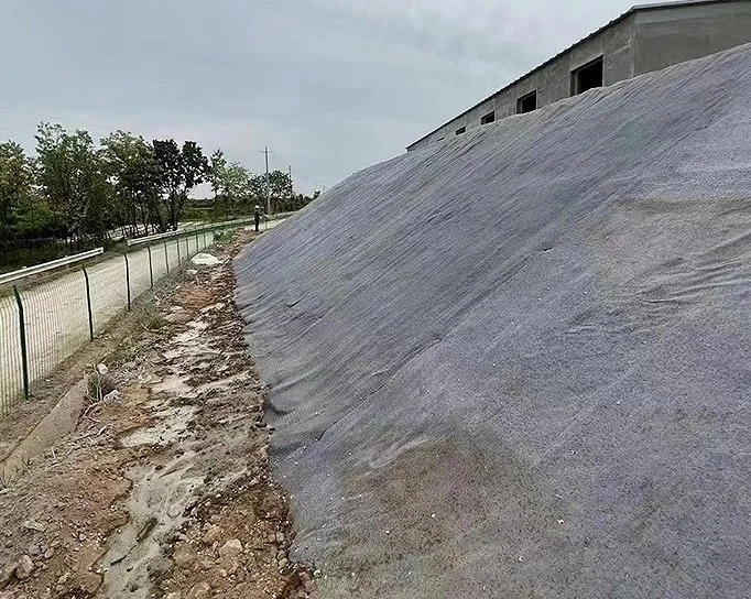 8mm-.jpg